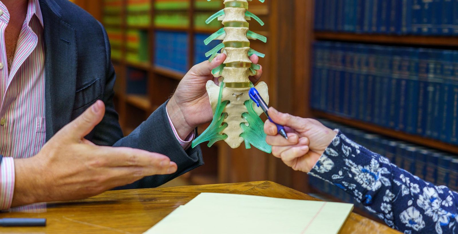two people in a conversation holding a spine anatomy model