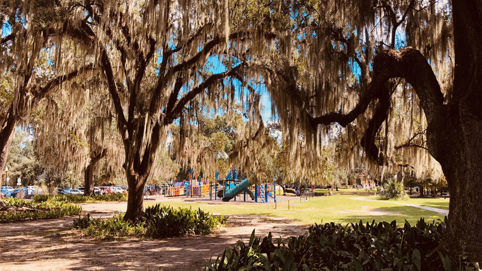 playground, trees, and lake in City Park of New Orleans